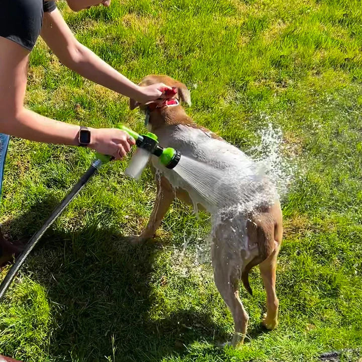 FORPETLOVERS™ | Pompa a getto d'acqua per cani