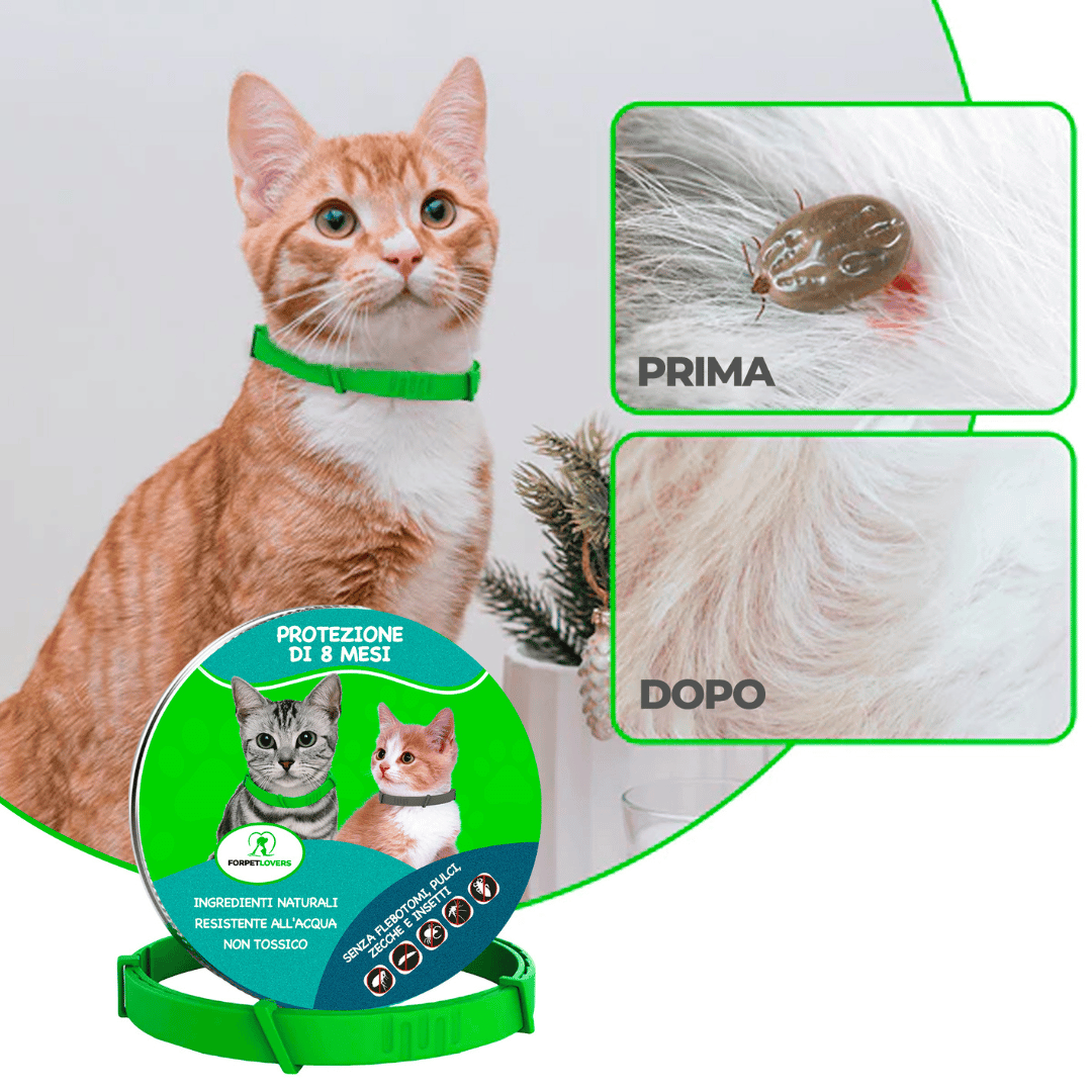 FORPETLOVERS™ | 8 Mesi Senza Pulci, Zecche, Flebotomi, Zanzare, Pidocchi, Larve e Acari