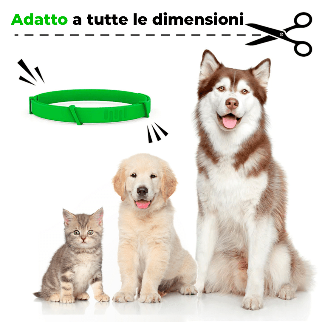 FORPETLOVERS™ | 8 Mesi Senza Pulci, Zecche, Flebotomi, Zanzare, Pidocchi, Larve e Acari
