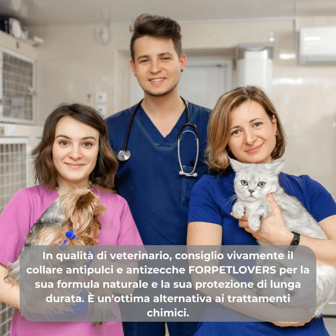 FORPETLOVERS™ | 8 Mesi Senza Pulci, Zecche, Flebotomi, Zanzare, Pidocchi, Larve e Acari