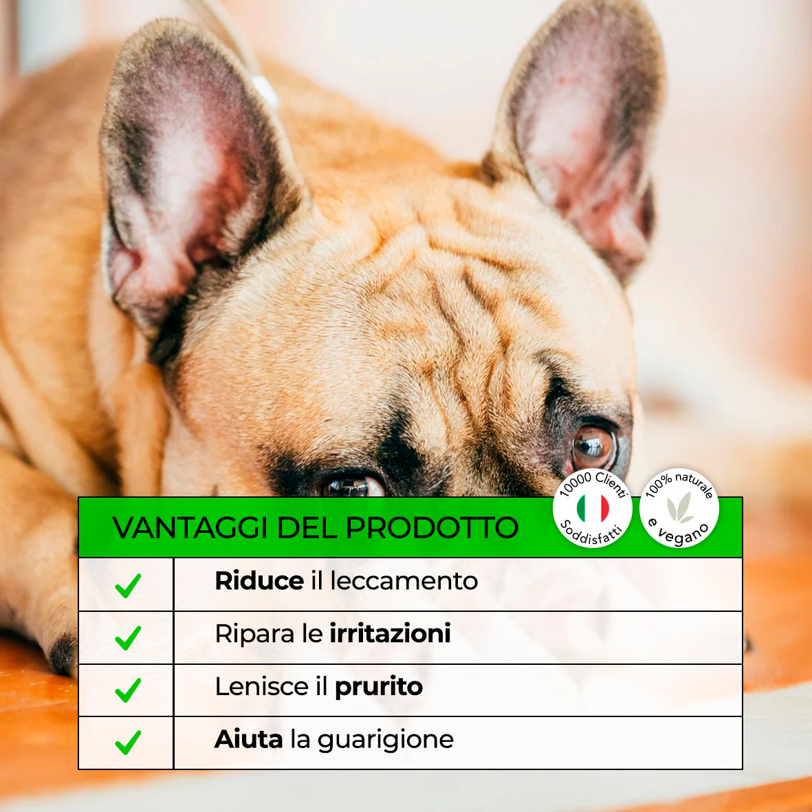FORPETLOVERS™ | Balsamo Miracoloso