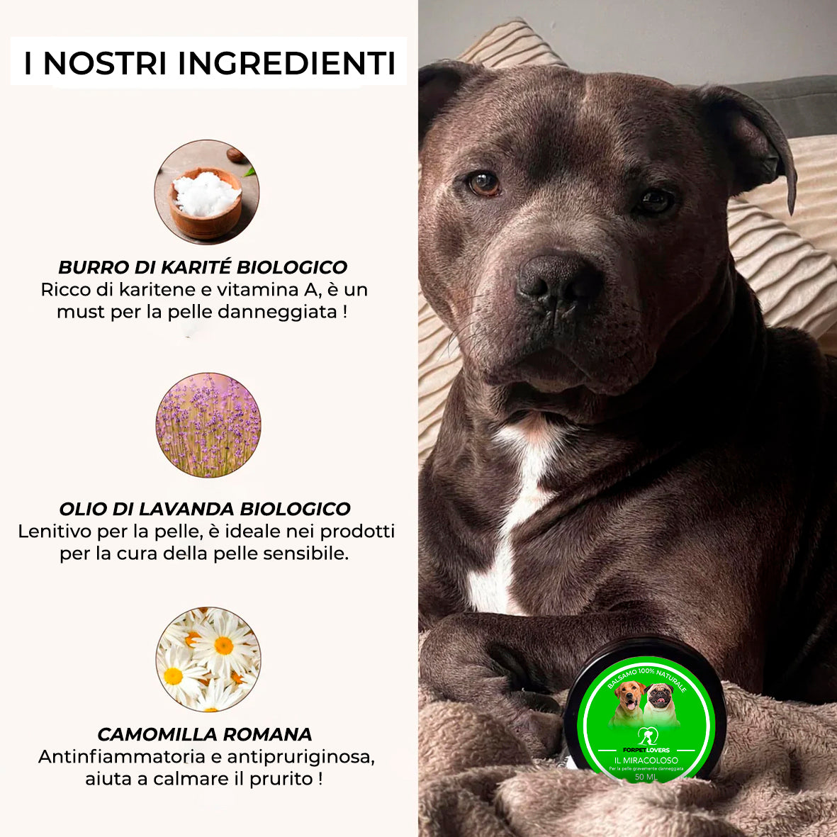 FORPETLOVERS™ | Balsamo Miracoloso