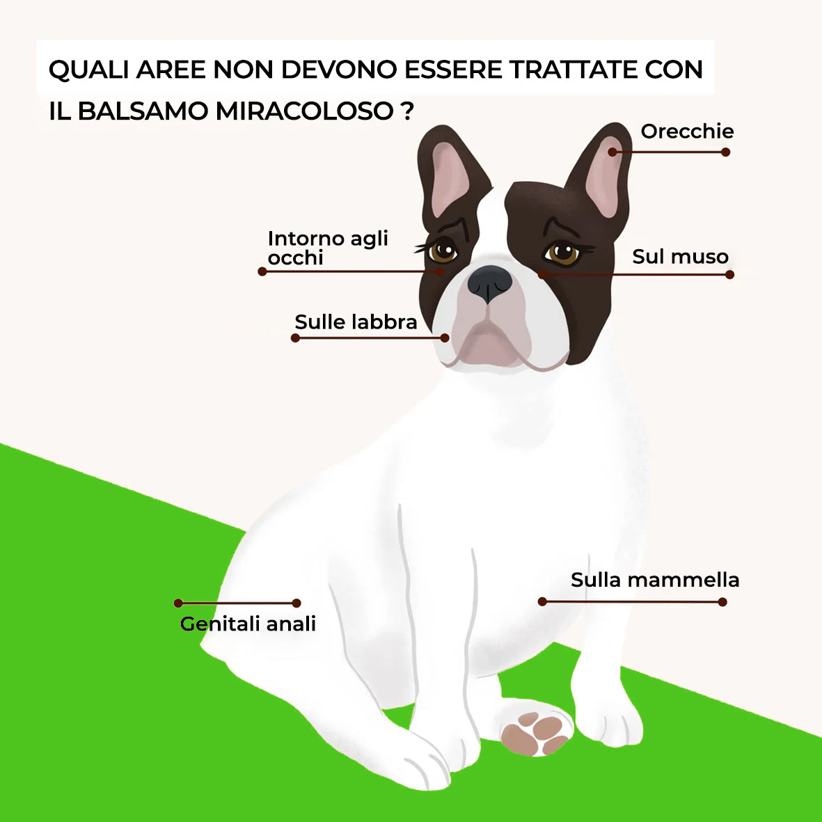 FORPETLOVERS™ | Balsamo Miracoloso