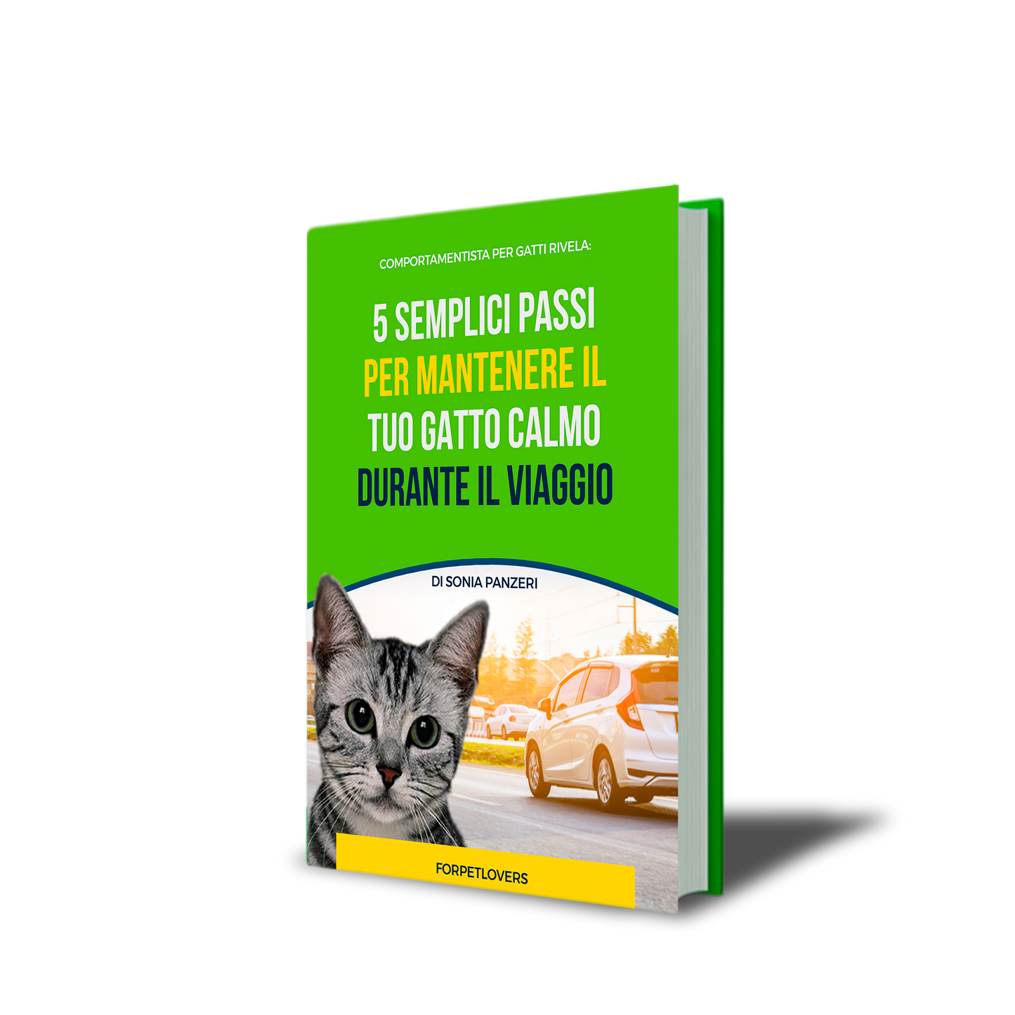 5 Semplici Passi Per Mantenere Il Tuo Gatto Calmo Durante Il Viaggio | FORPETLOVERS™