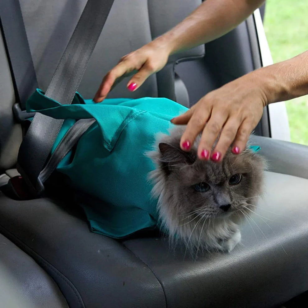 FORPETLOVERSā¢ | Borsa Trasportino Per Gatti (Oggi 1+1 GRATIS š¾)