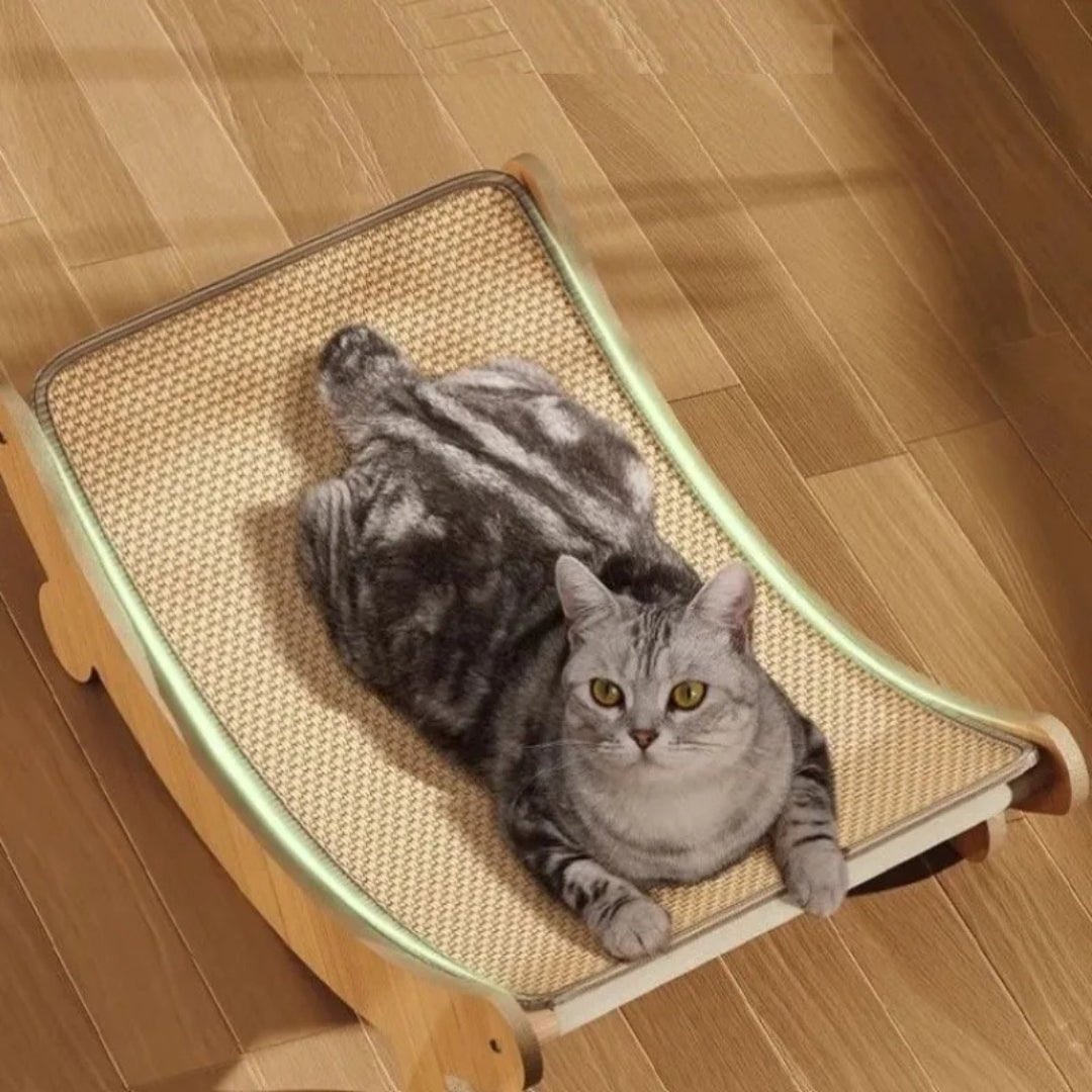 FORPETLOVERS™ | Grattatoio Per Gatti