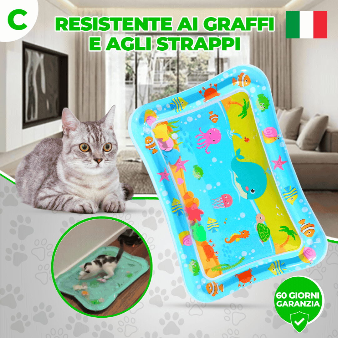 FORPETLOVERS™ | Tappeti Di Gioco Per Gatti