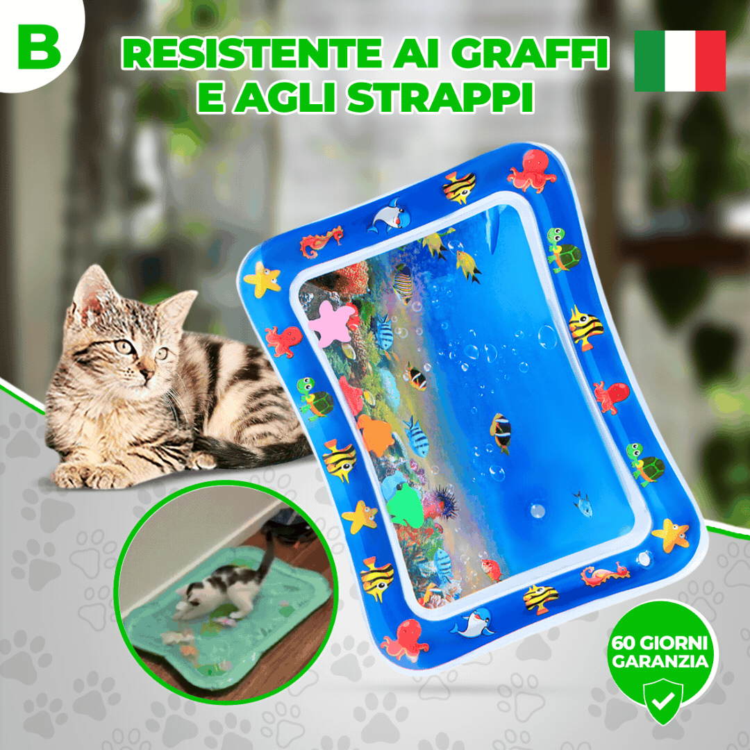 FORPETLOVERS™ | Tappeti Di Gioco Per Gatti