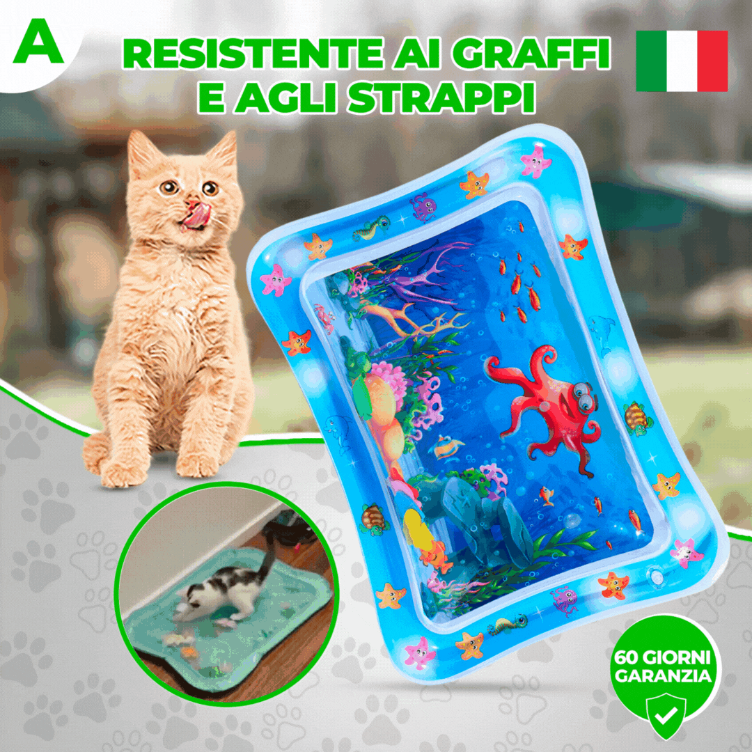 FORPETLOVERS™ | Tappeti Di Gioco Per Gatti