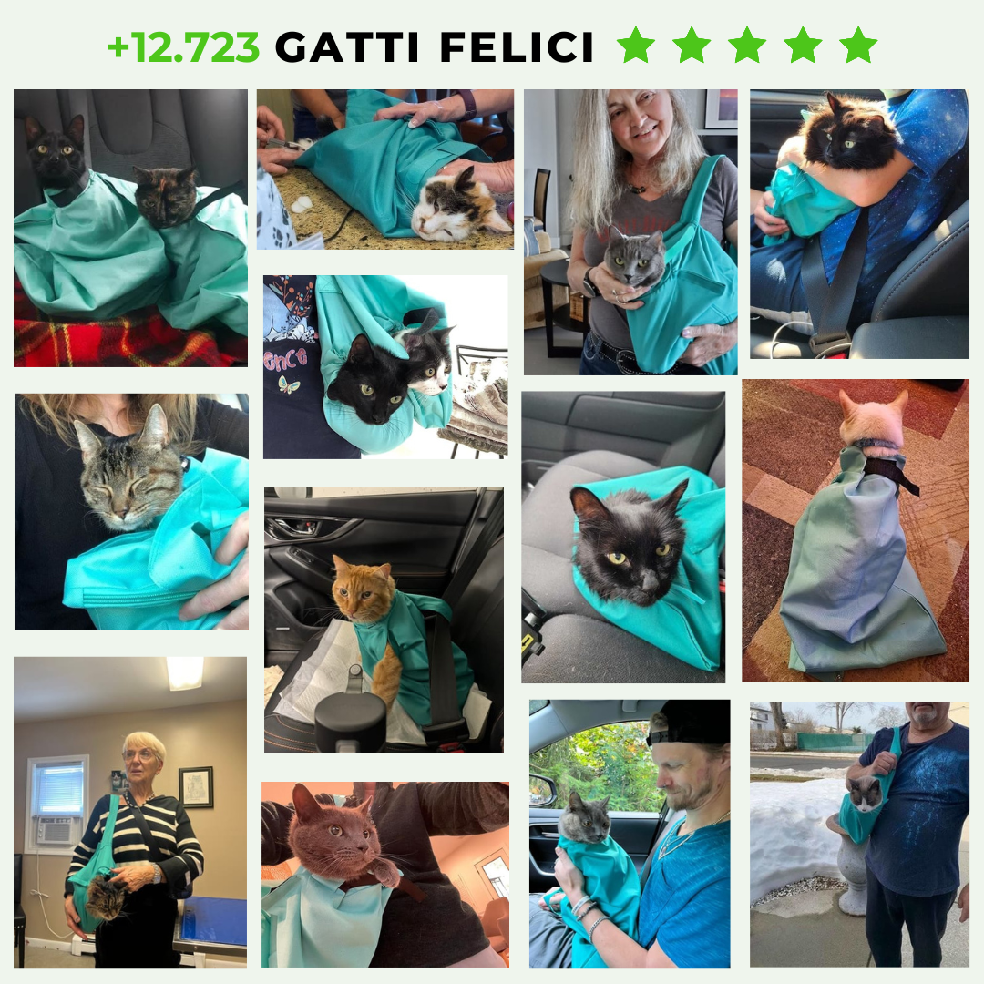 FORPETLOVERSā¢ | Borsa Trasportino Per Gatti (Oggi 1+1 GRATIS š¾)