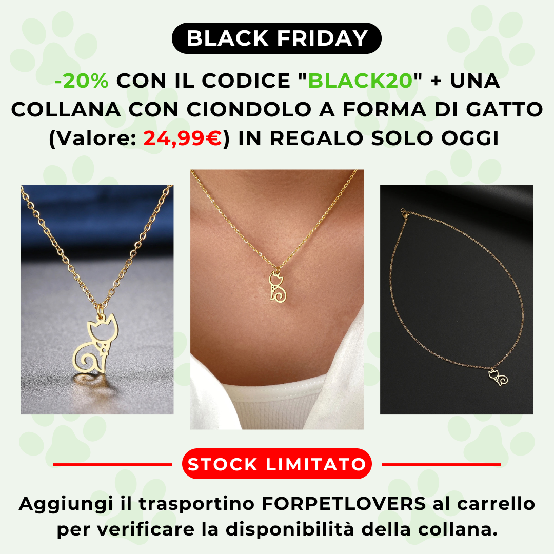 FORPETLOVERS™ | Grattatoio Per Gatti