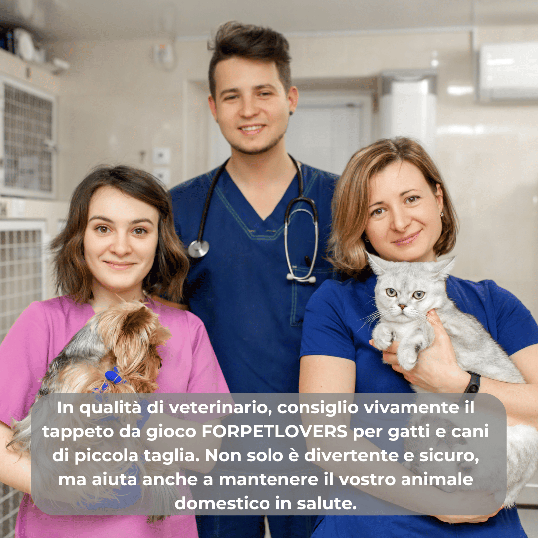 FORPETLOVERS™ | Tappeti Di Gioco Per Gatti